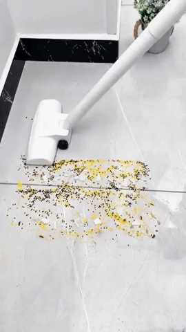 Aspiradora Multiusos + Cepillo Mágico